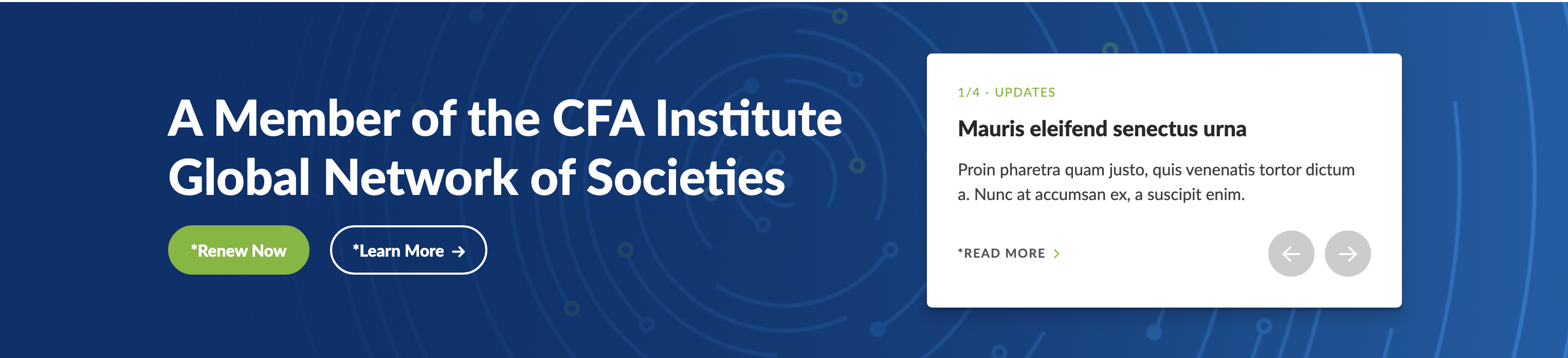 Syndicated - Website Style Guide - CFA Society Indonesia