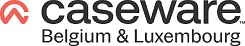 Logo CaseWare