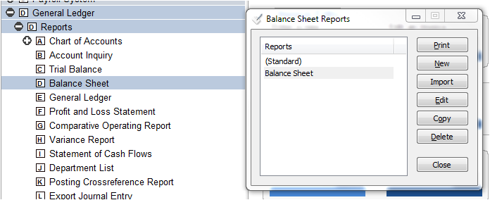 Balance Sheet Set Up