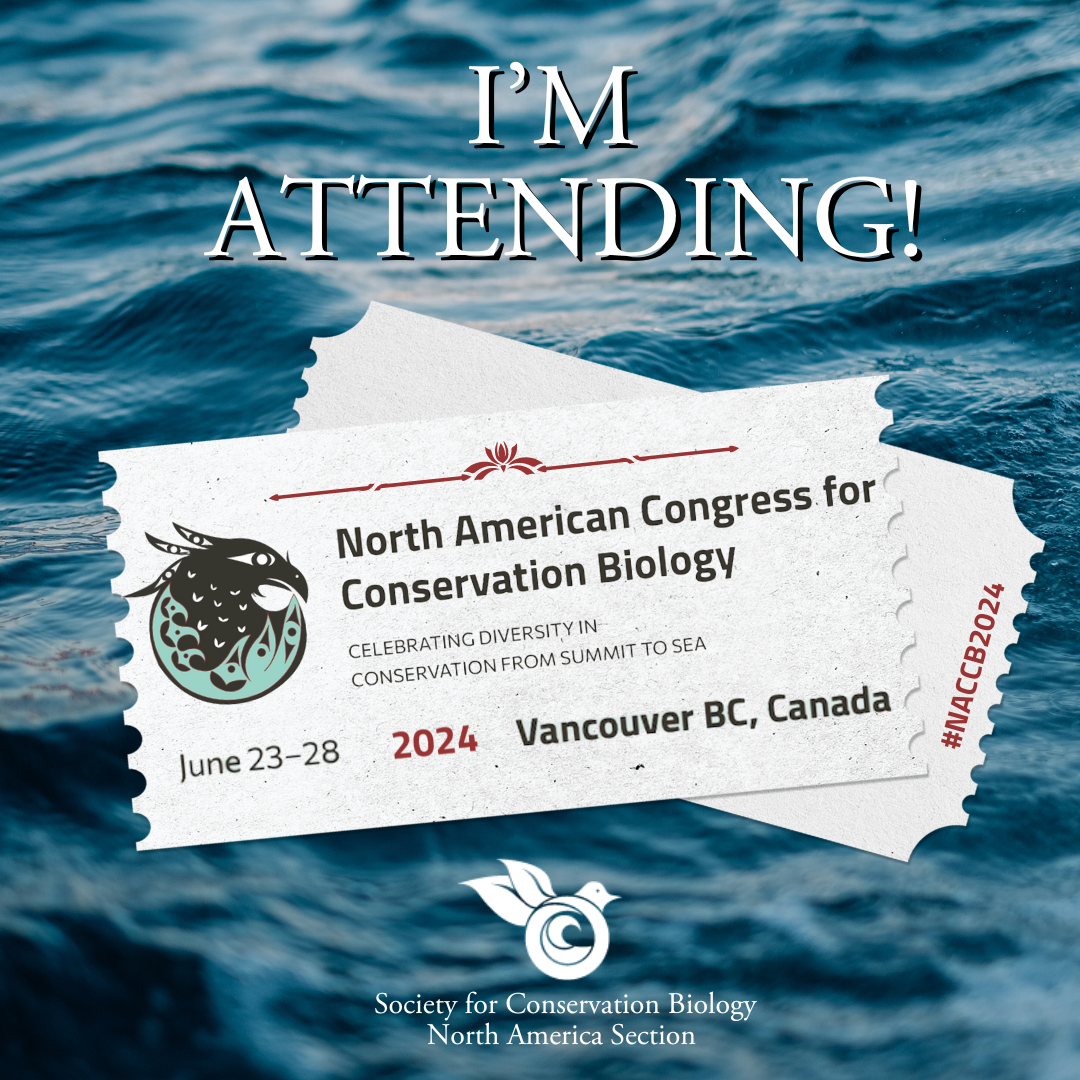 I'm attending #NACCB2024