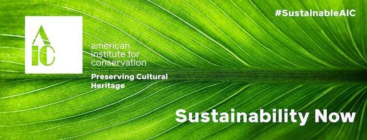 Sustainability Now! Logo