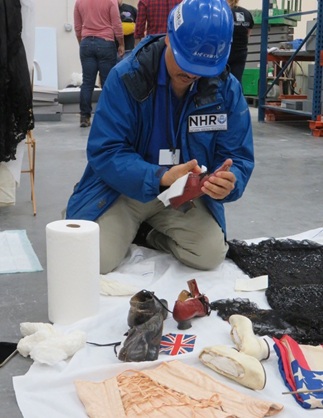 Man in blue hardhat and NHR ID tag cleans an object with a towel.