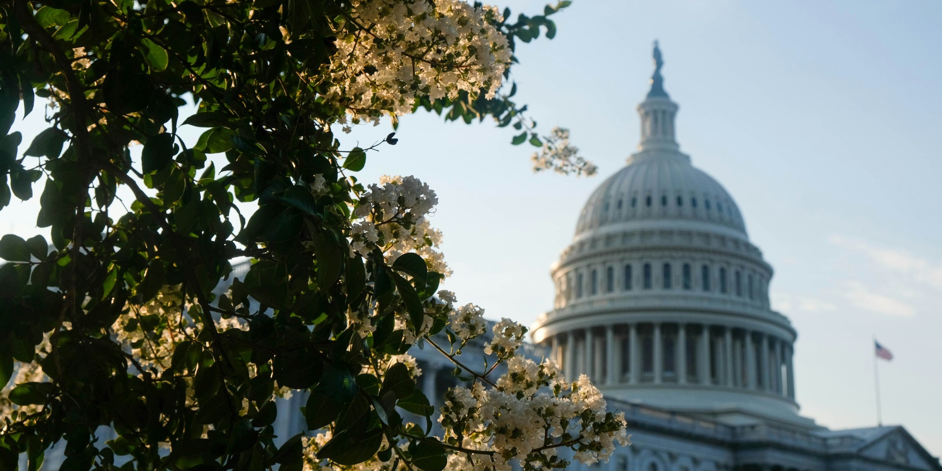 A springtime view of the Capitol building.