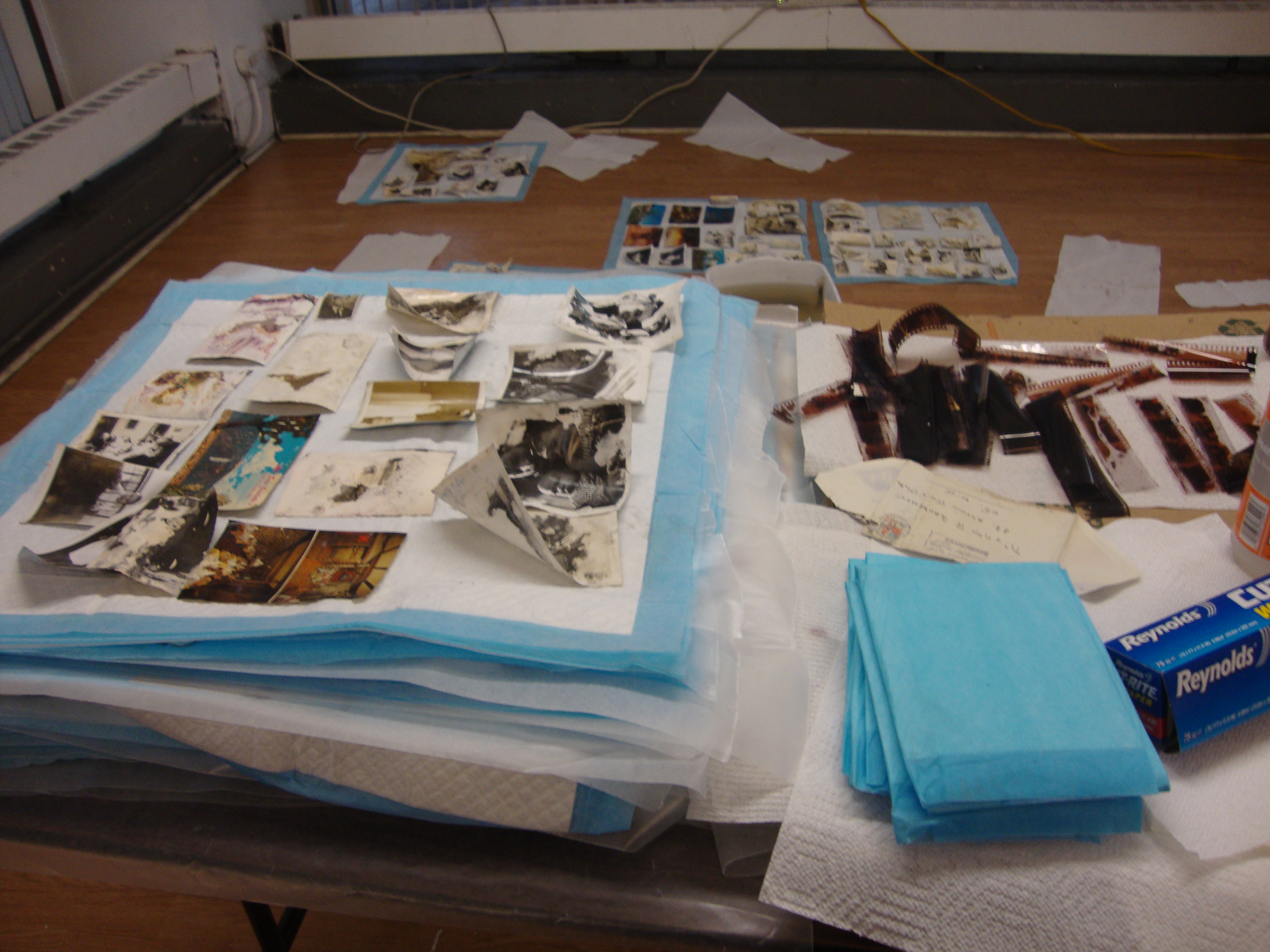 Photographs laid out in a grid on a puppy pad