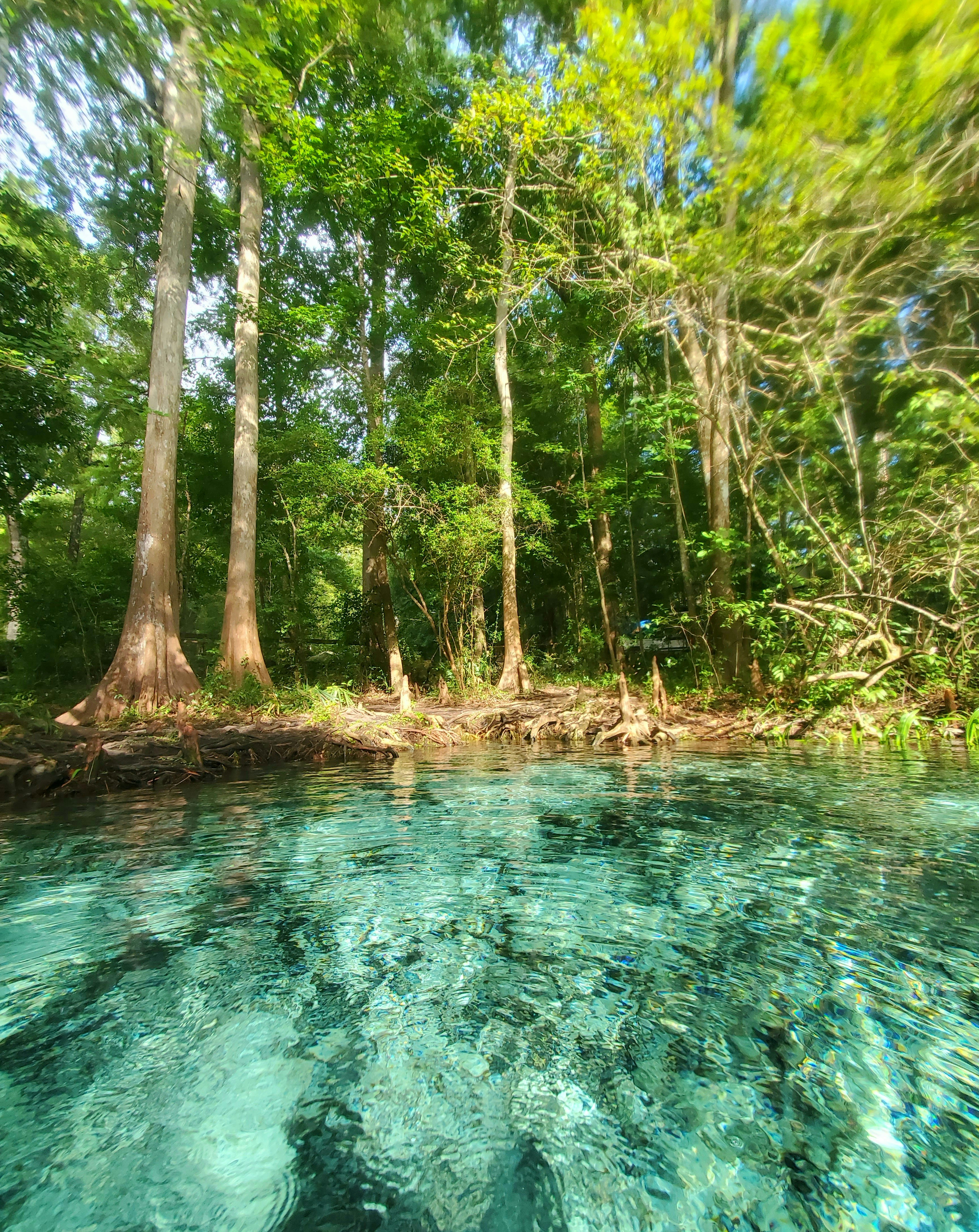 Image shows turquois water and trees