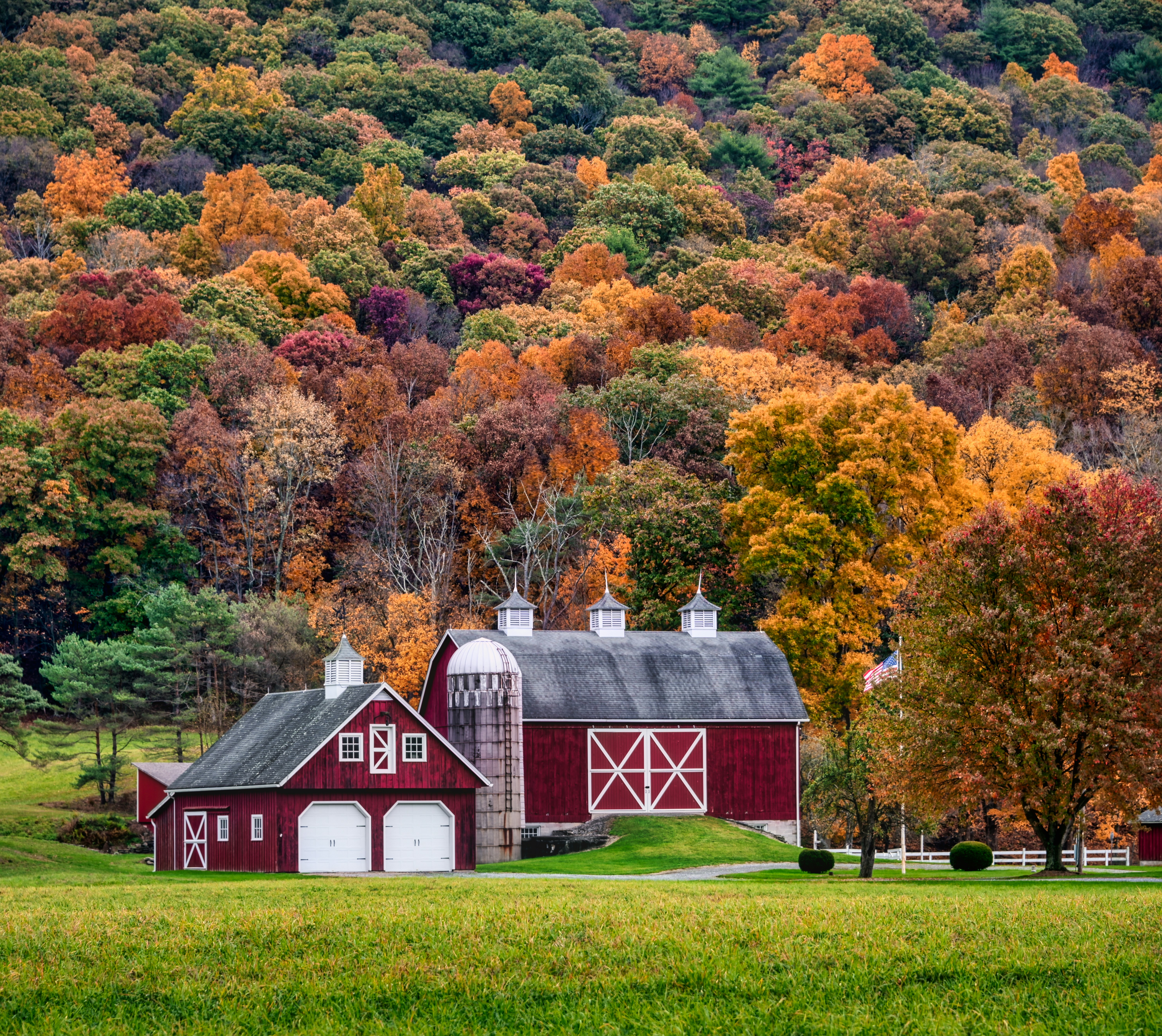 Red barns in a field with trees