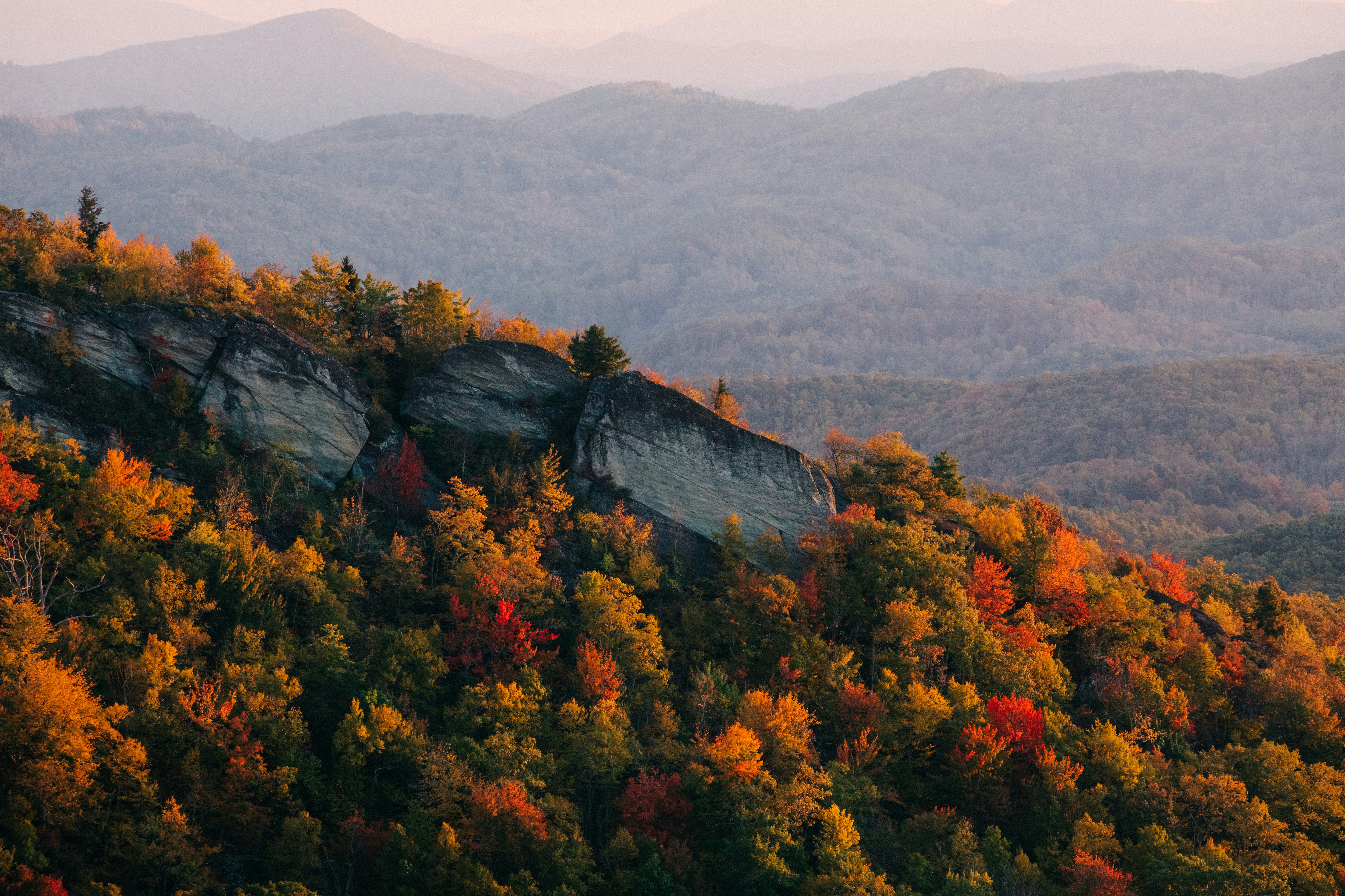 Mountains with thick trees in fall color