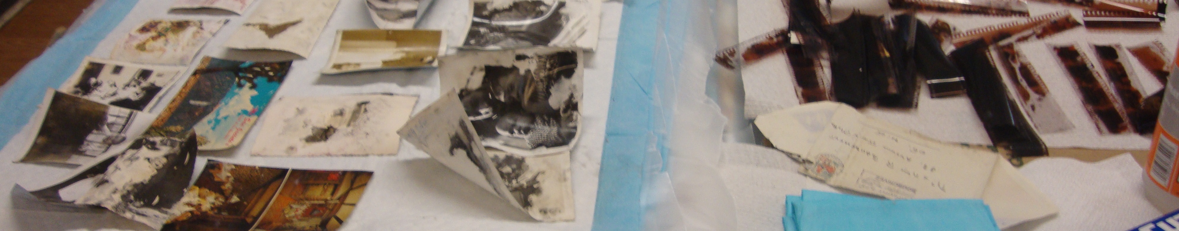 Image of photos and negatives laid out to dry.