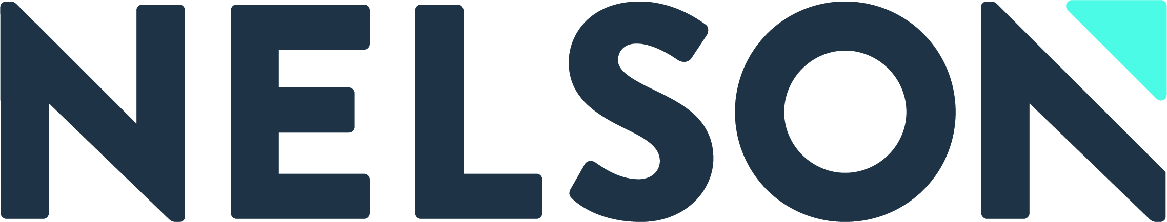 NELSON_Icon_Logo_MASTER_HighRes.jpg