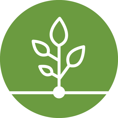Icon-Grow_150515.png