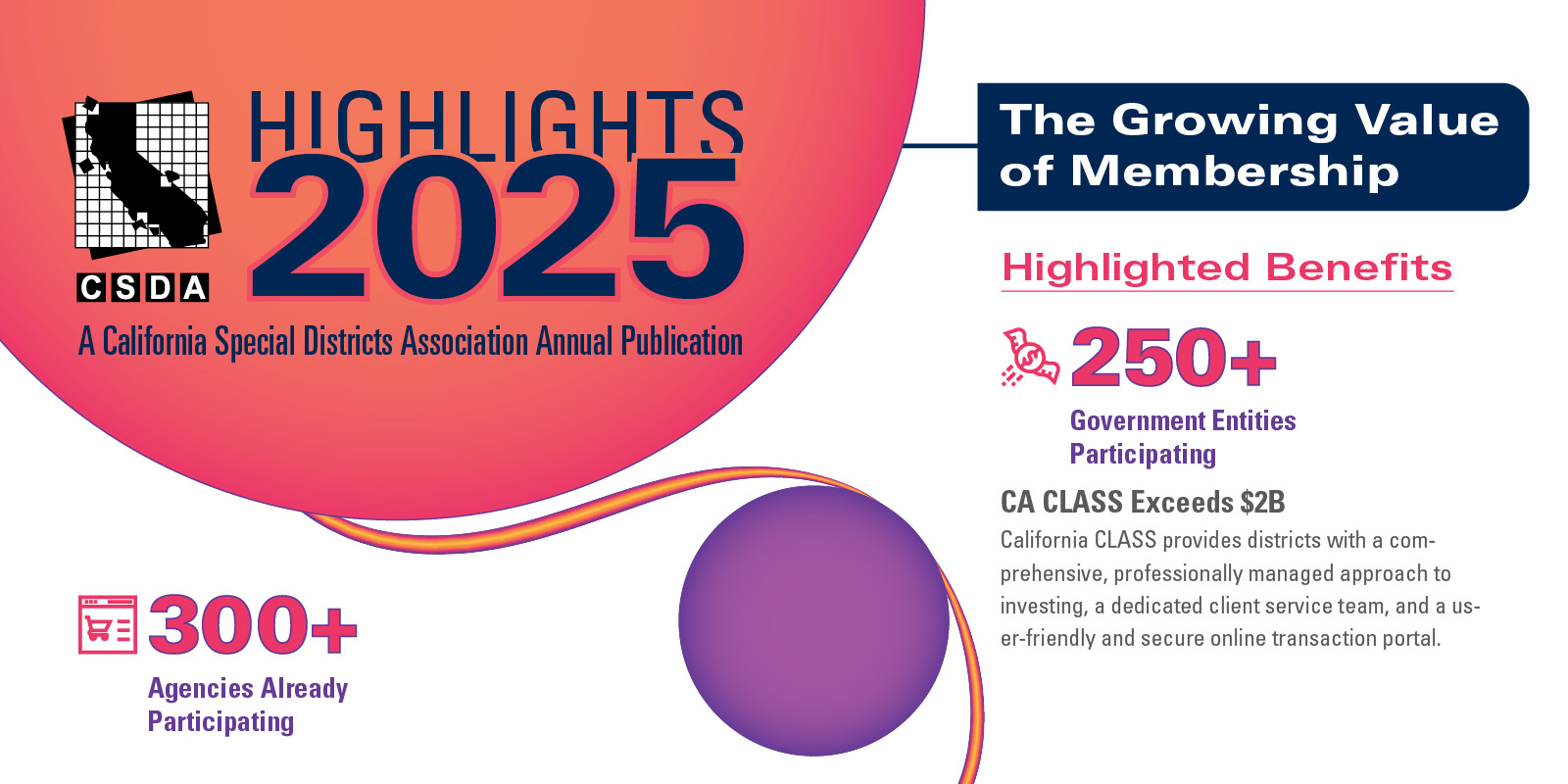 2025 CSDA Highlights Cover