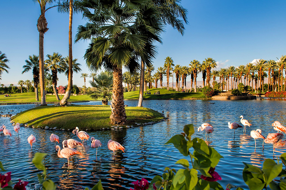 JW Marriott grounds in Palm Springs, CA