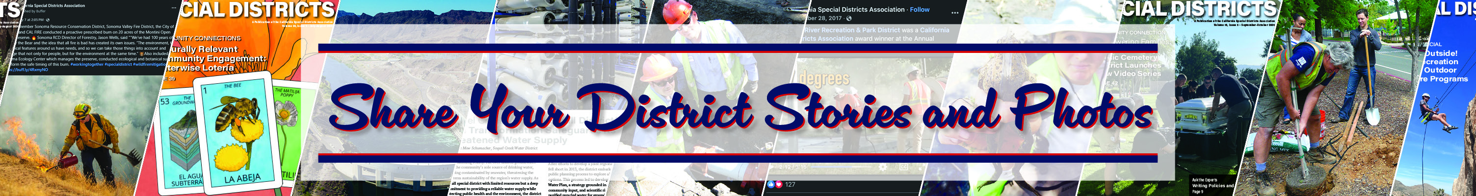 Collage of items submitted by members.