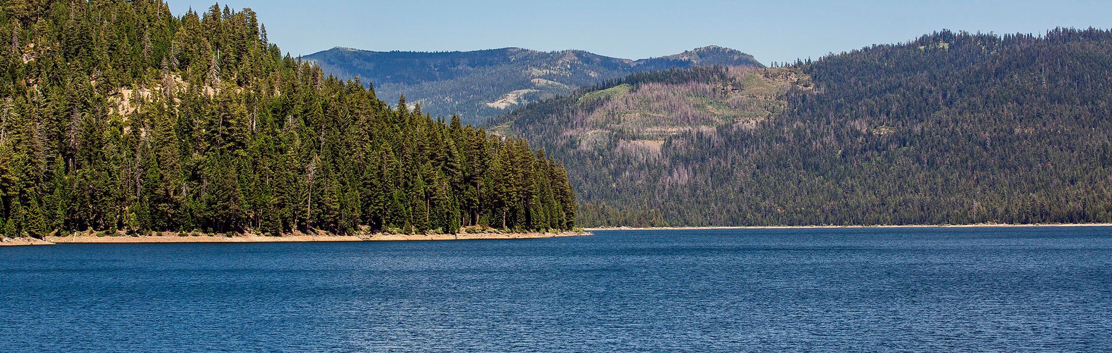 Forest Lake Mountains