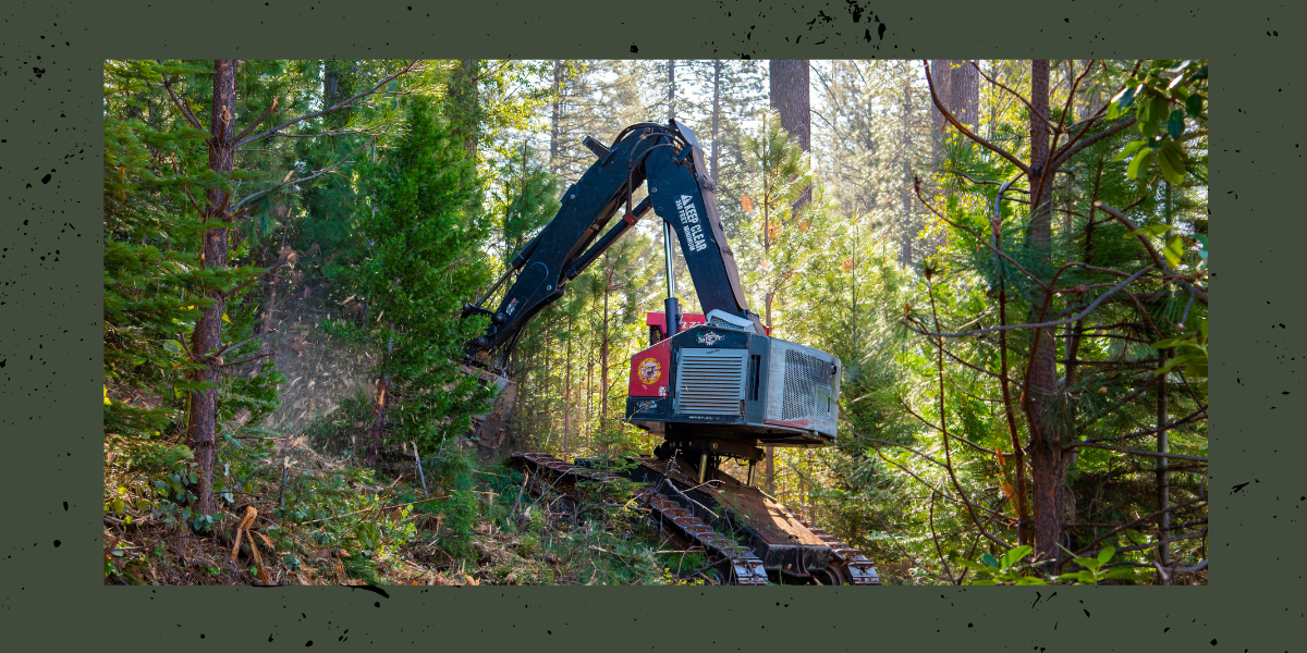 heavy equipment clearing forest