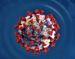 coronavirus