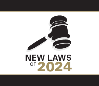 new laws of 2024 image with gavel