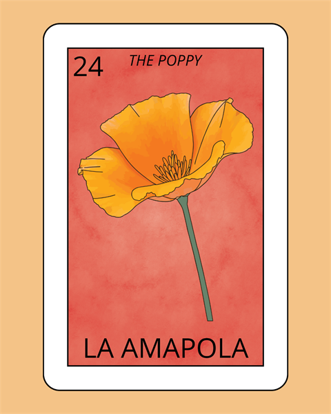 California poppy on a playing card