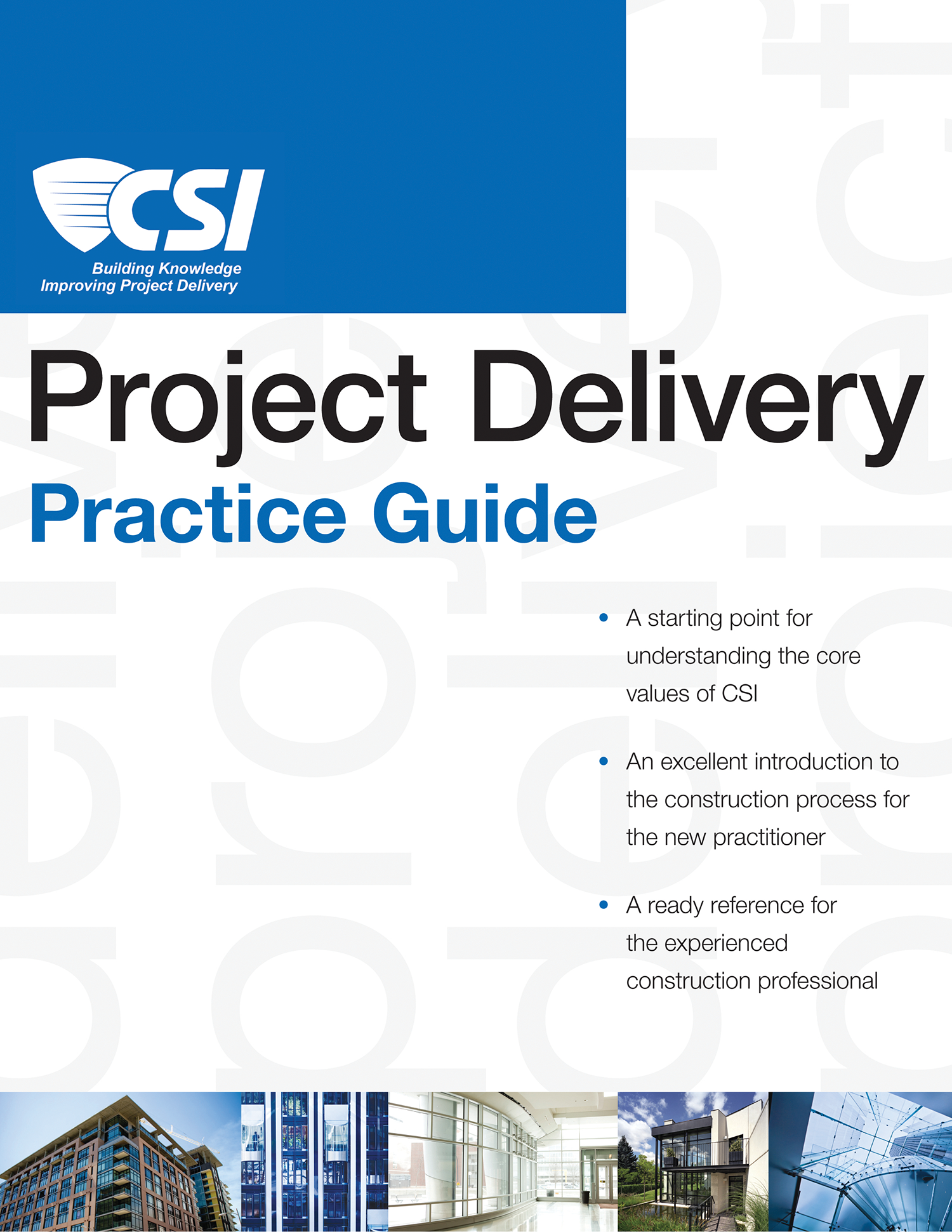 Project Delivery Practice Guide