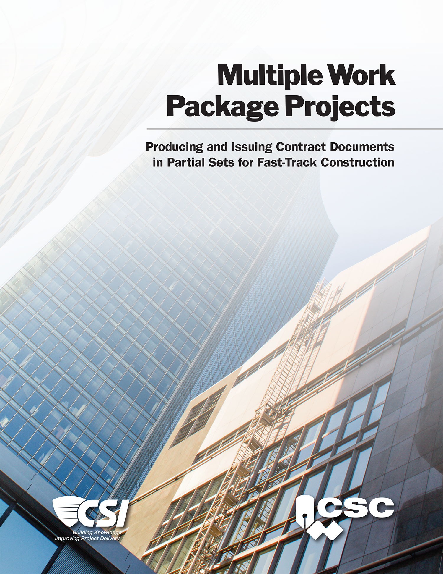 Multiple Work Package Projects