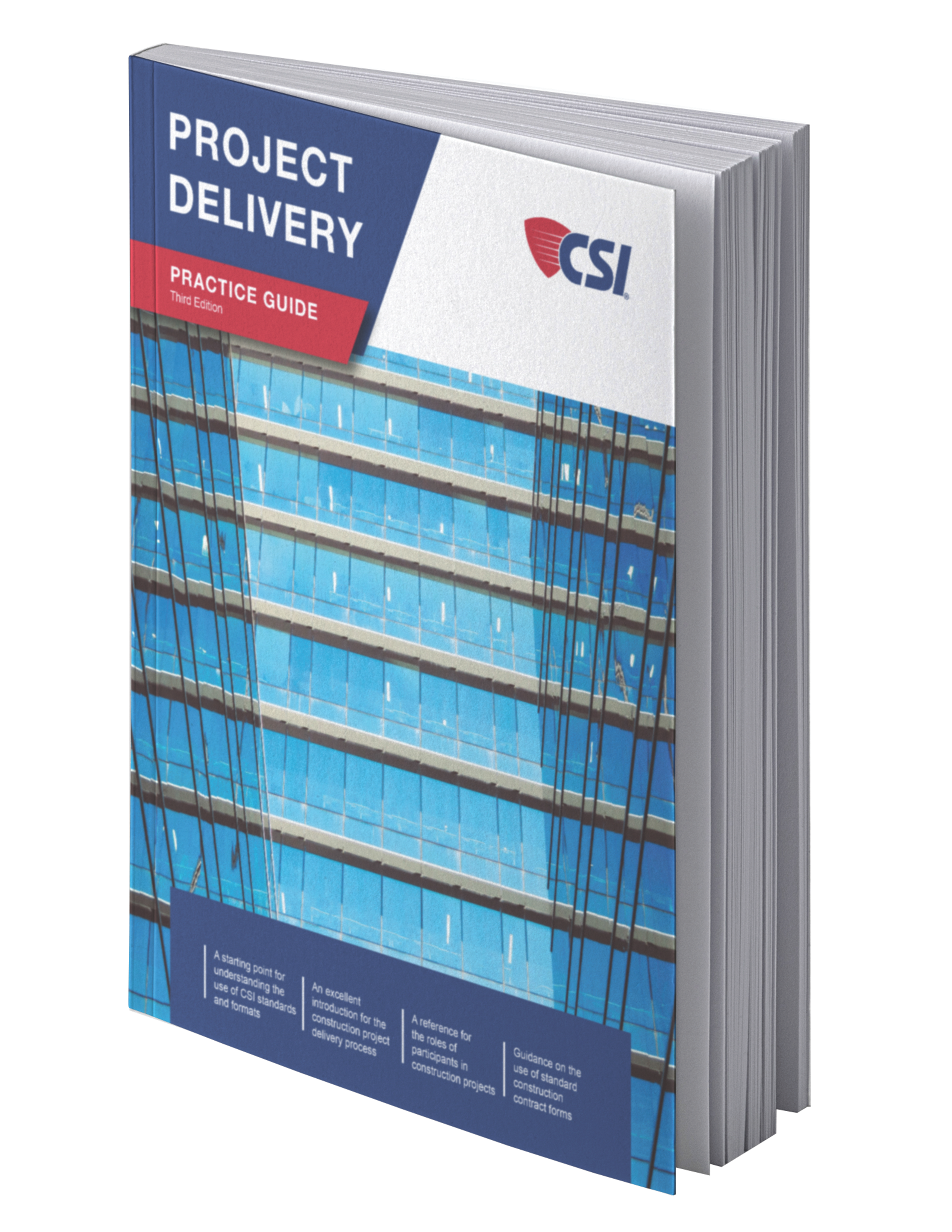 Project Delivery Practice Guide