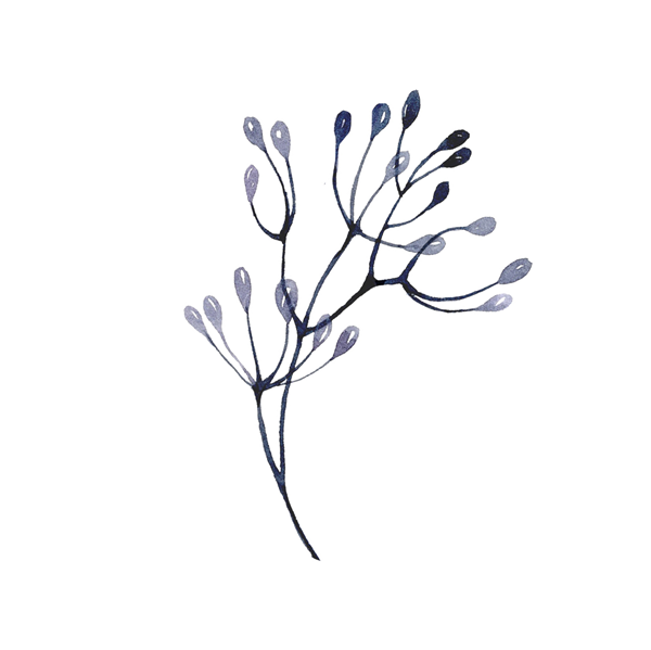 volunteer opportunity image