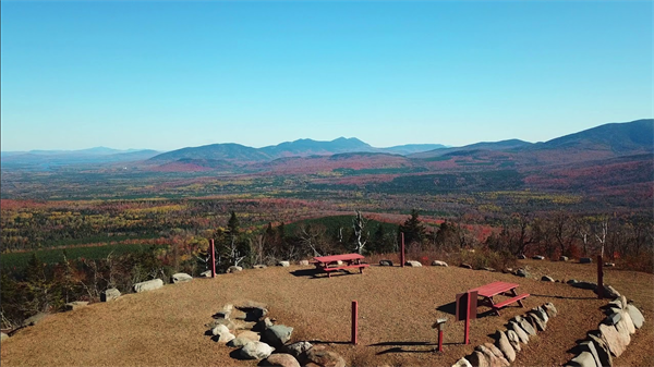 volunteer opportunity image