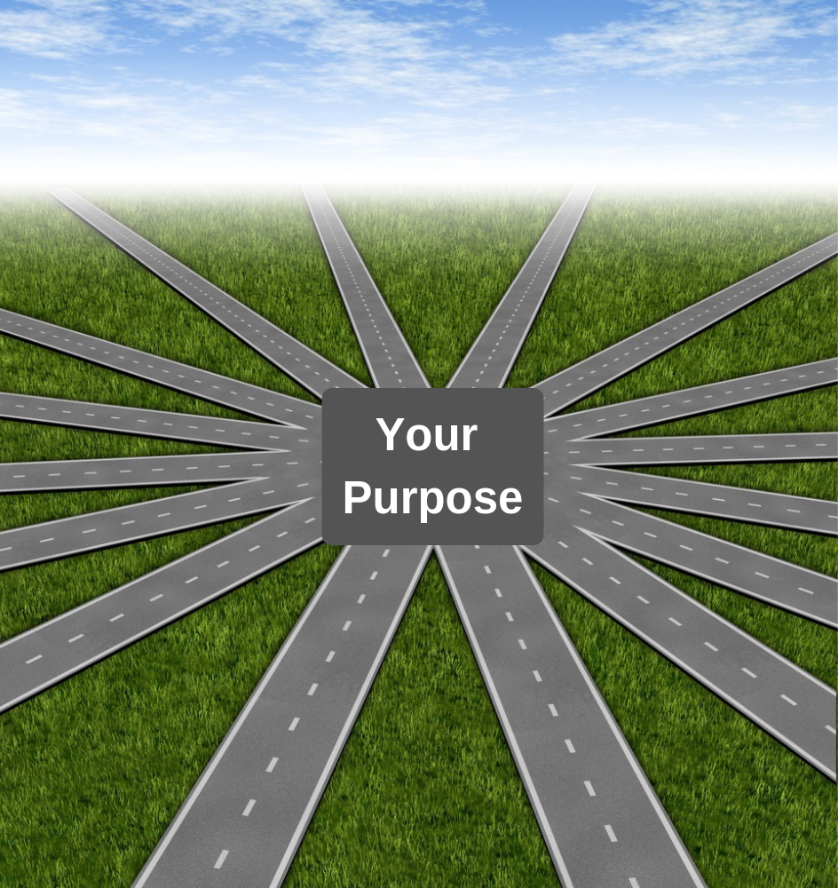 Many_Paths_to_Purpose_canva_version.png