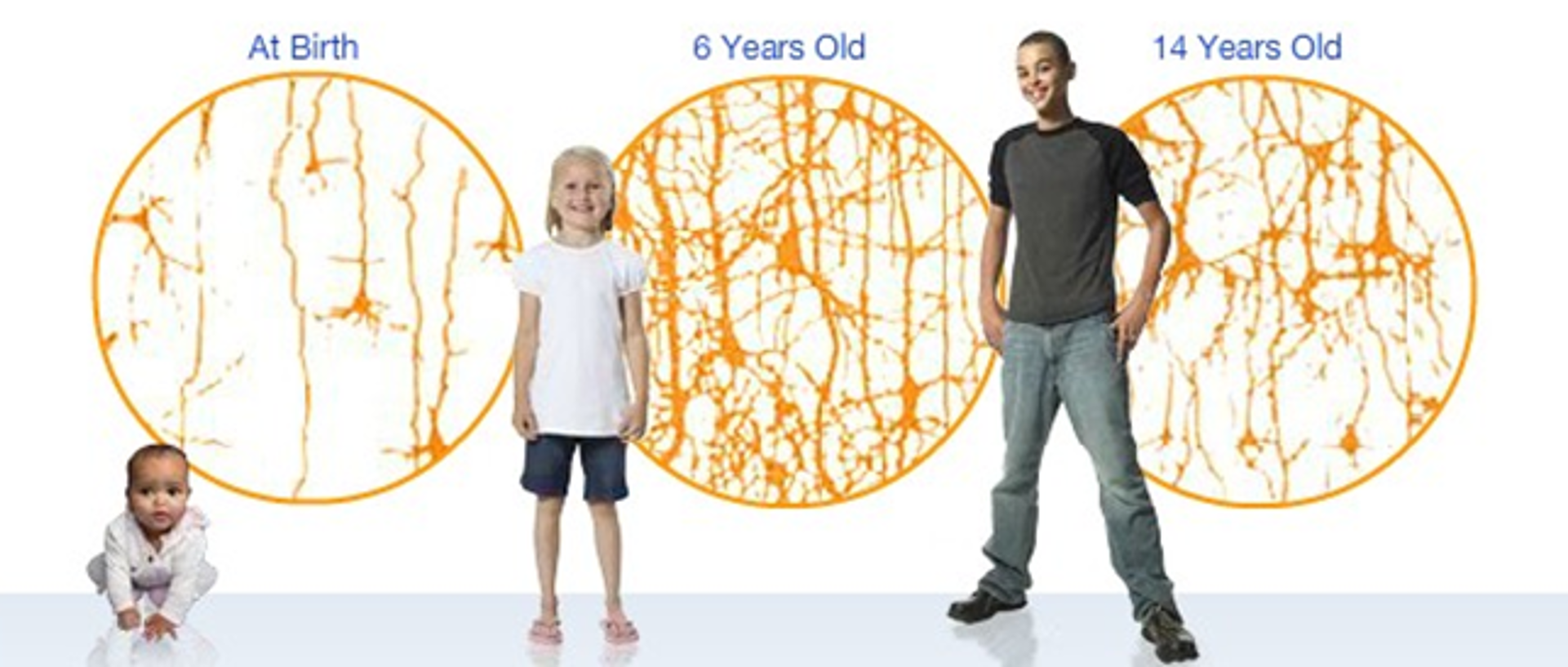 Rewiring Our Brains for Success