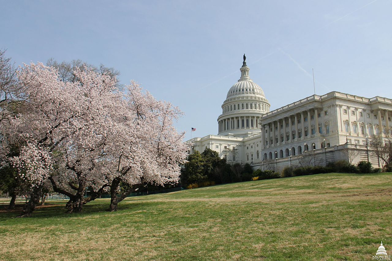 o-WASHINGTON-DC-facebook.jpg
