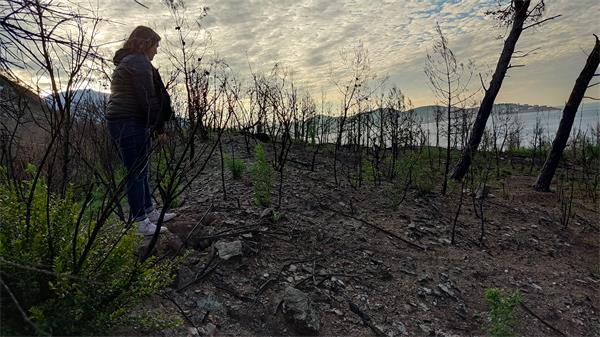 Mapping of the burned area in Sutomore.