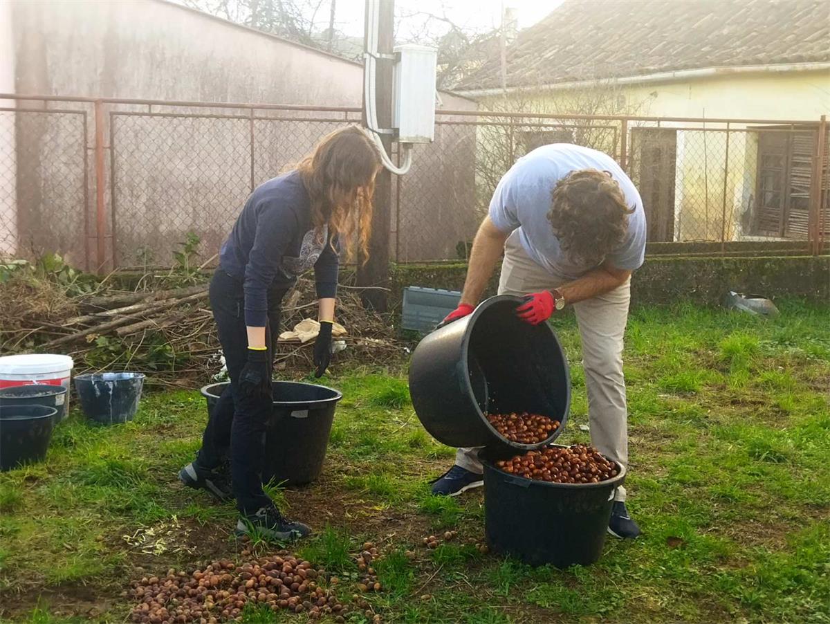Selecting and preparing seeds.