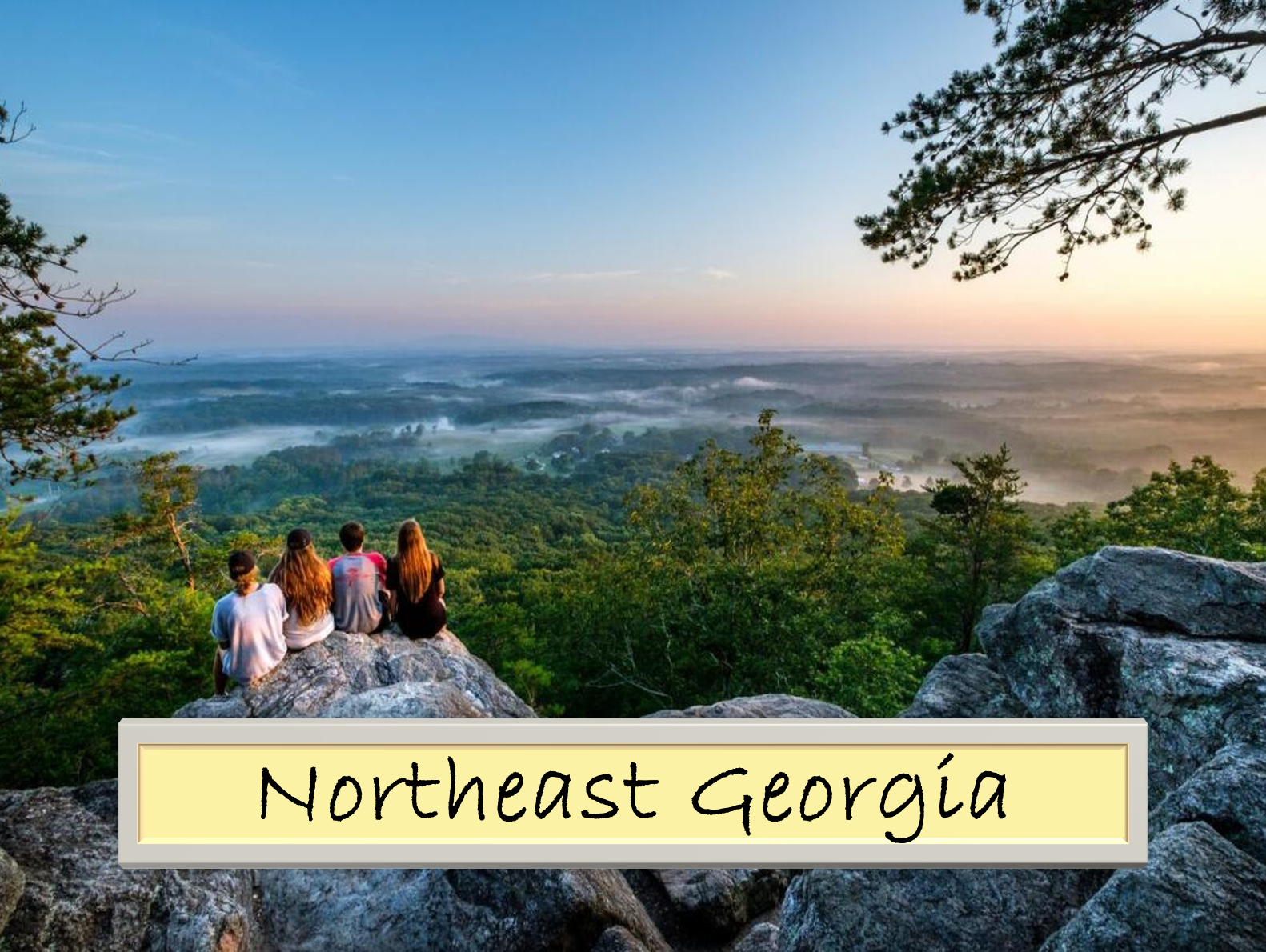 Northeast Georgia Chapter