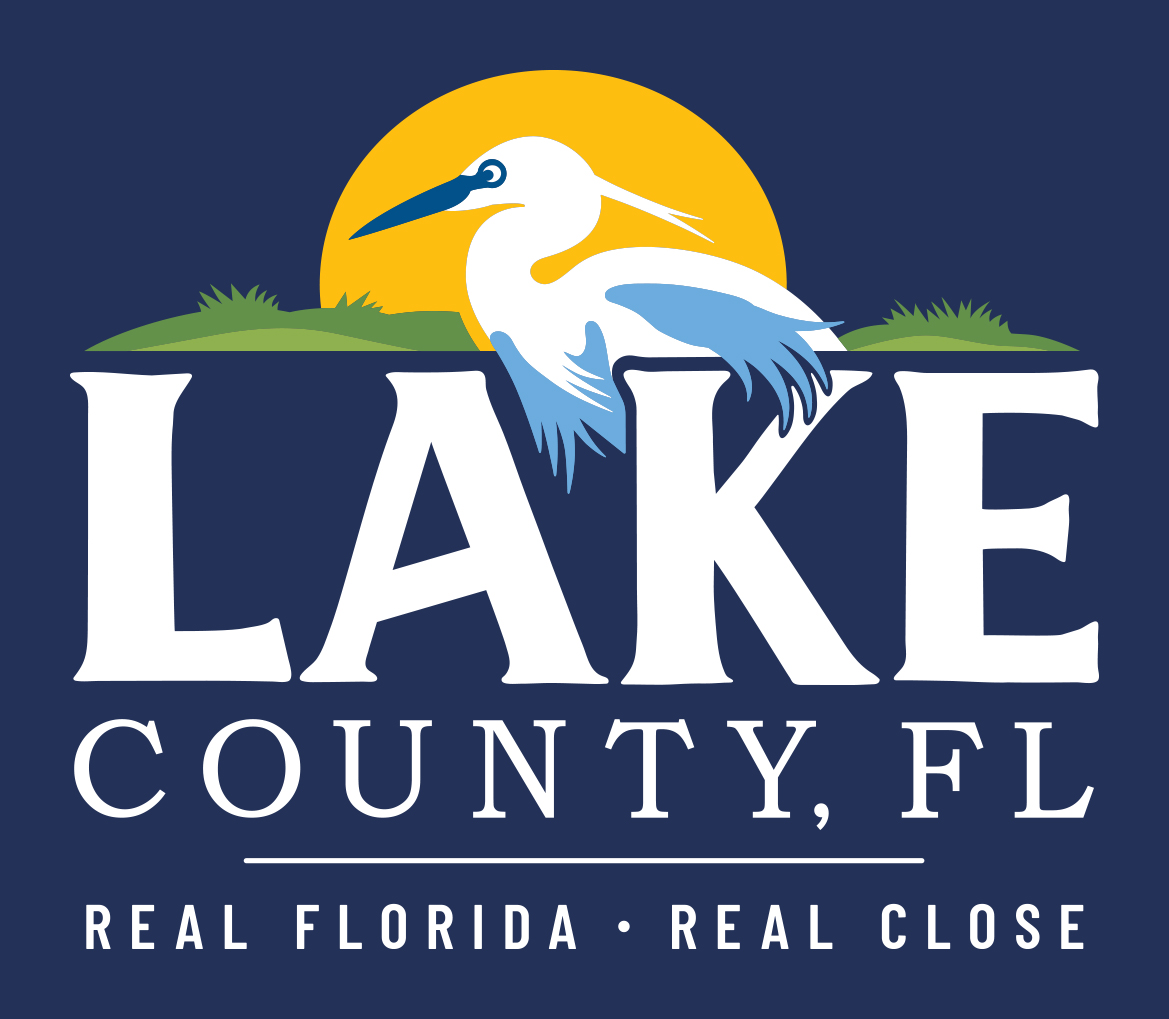 Elevate Lake Economic Development