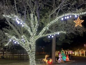lights