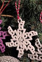 Brain Rot phrase of the year 