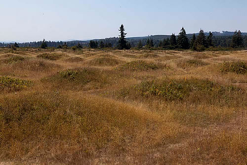 mima mounds interpretive center