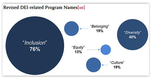 Revised DEI-Related Program Names