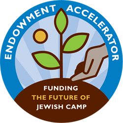 Endowment Accelerator: Funding the Future of Jewish Camp