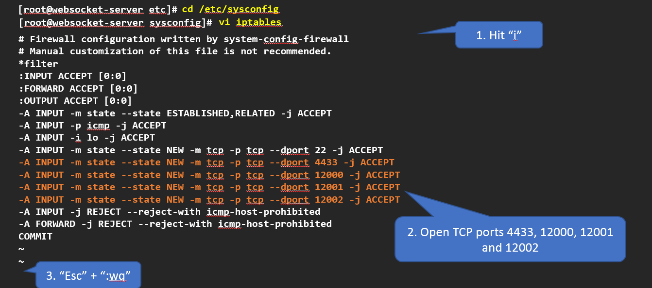 Configuring the ALE WebSocket Tunnel