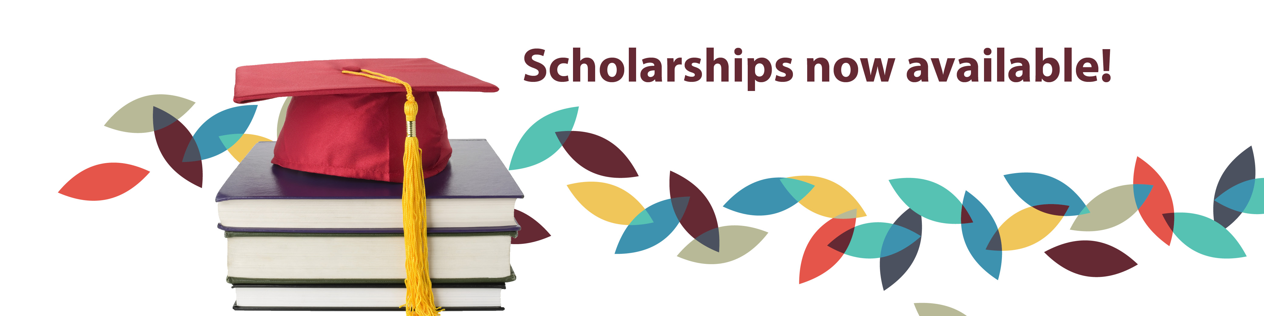 Scholarship_Page_Banner.jpg