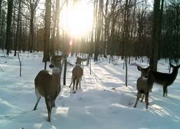 No automatic alt text available.