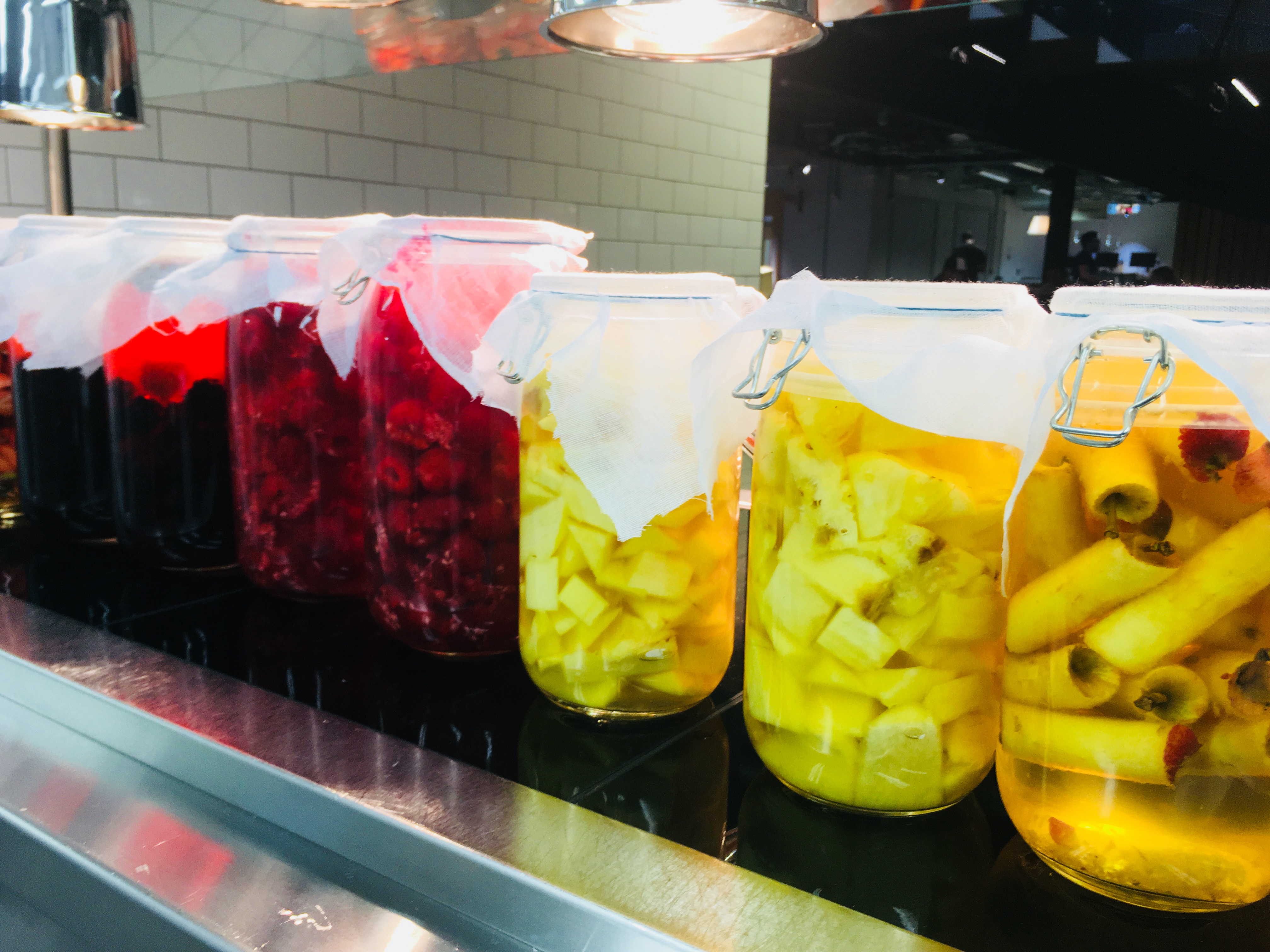 Fermentation.jpg