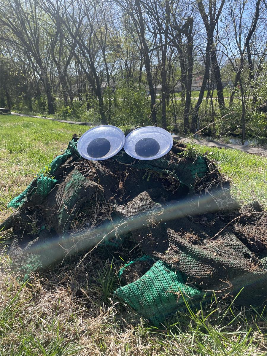 Sock with googly eyes