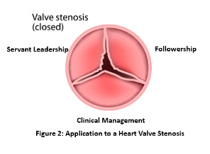 Figure 2. application to a heart valve stenosis