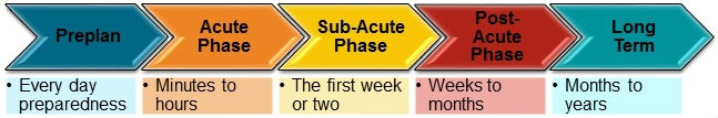 Crisis/Disaster Management for a Training Program Timeline