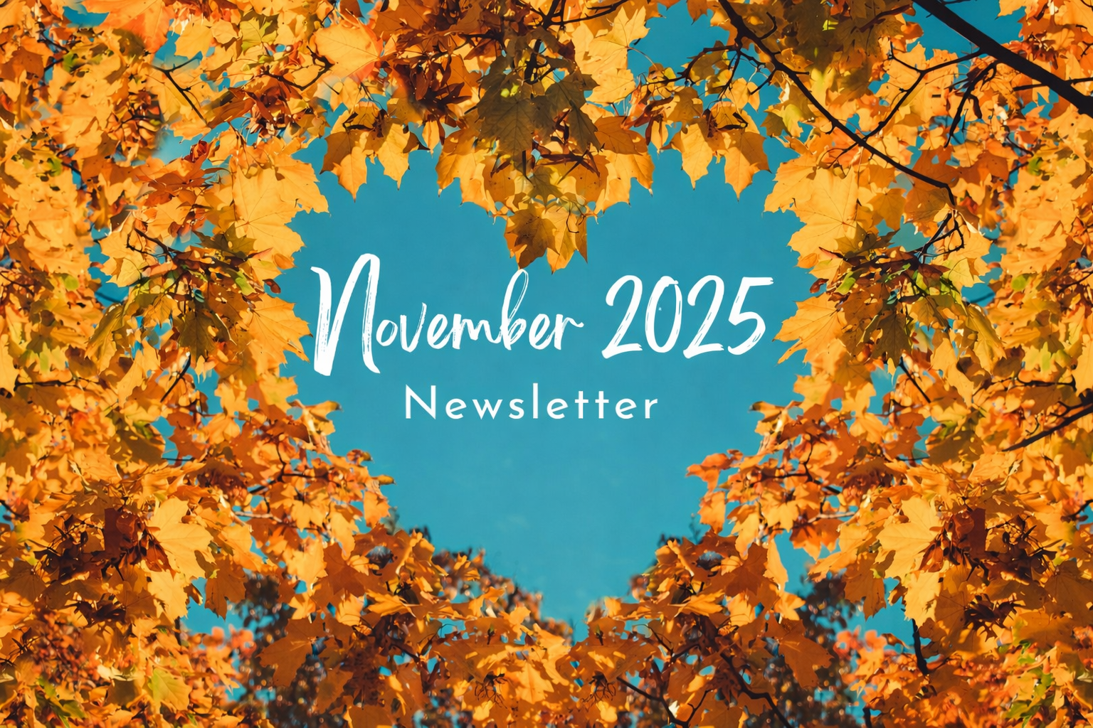 November 2025 Newsletter
