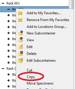 Copy and Paste Containers