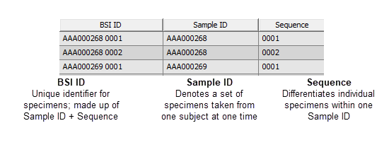 BSI ID Components