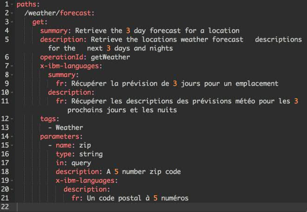 Expand your API Initiatives Globally with Multi-Lingual Support of API ...